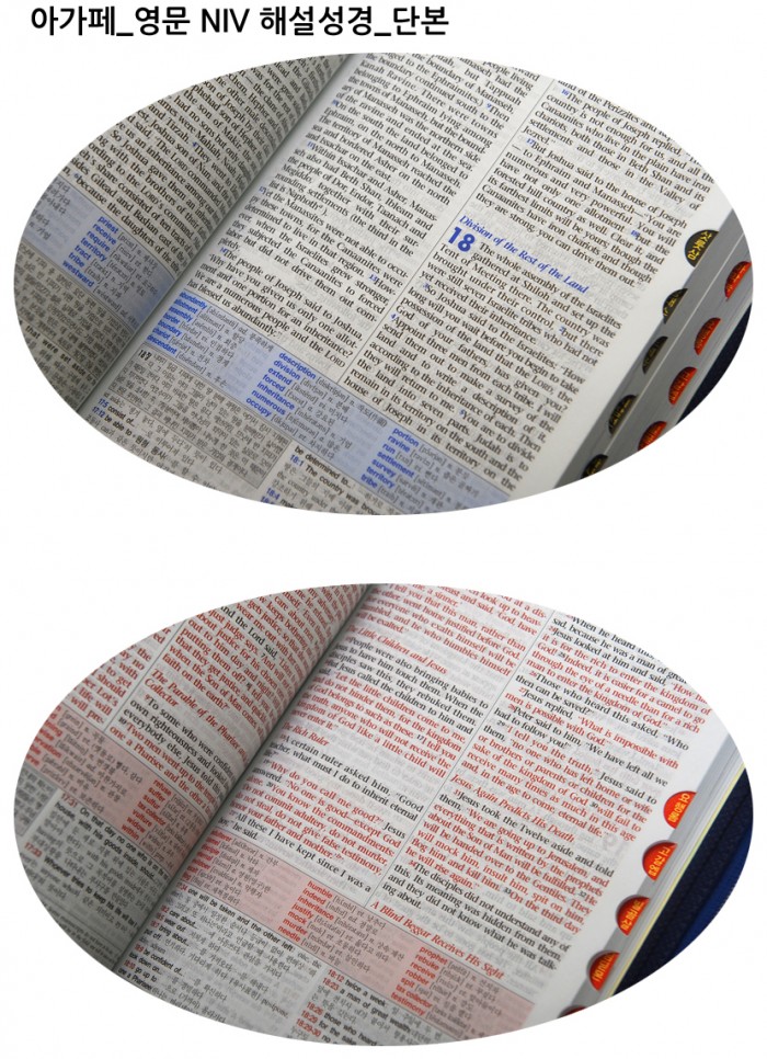아가페 영문 NIV Explanation Bible 해설성경 각 청색과 핫핑크를 판매합니다. - 7번째 사진. (기독정보넷 - 기독교 벼룩시장.) 
